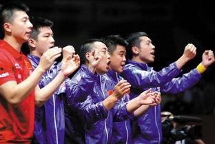 国乒爆料田亮视频在线观看,精彩瞬间在线观看 第3张 国乒爆料田亮视频在线观看,精彩瞬间在线观看 第3张